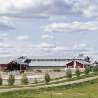 Oriasema ennakkomaksu